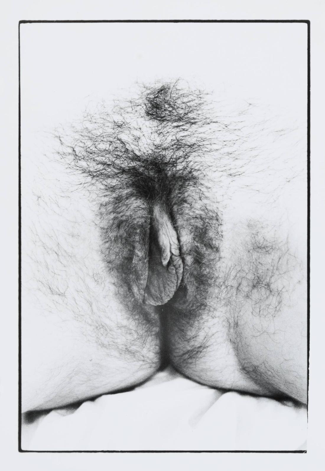 Untitled Documenta portfolio