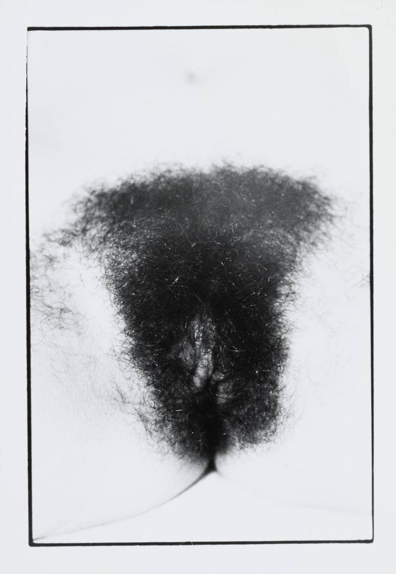 Untitled Documenta portfolio