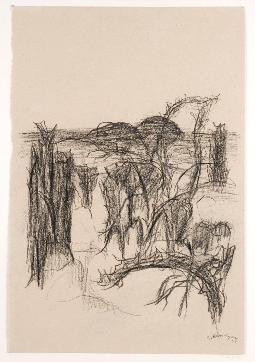 Ömotiv (Vegetationsstudie)