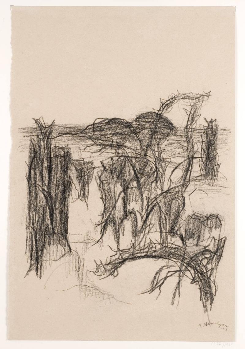 Ömotiv (Vegetationsstudie)