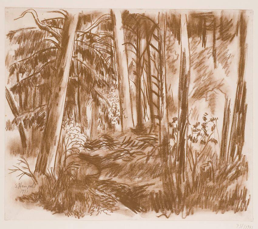 Skog
