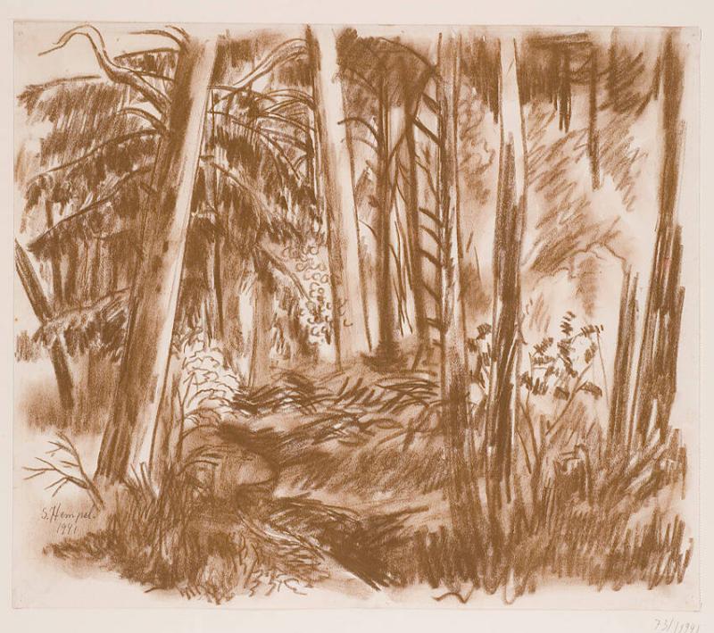 Skog