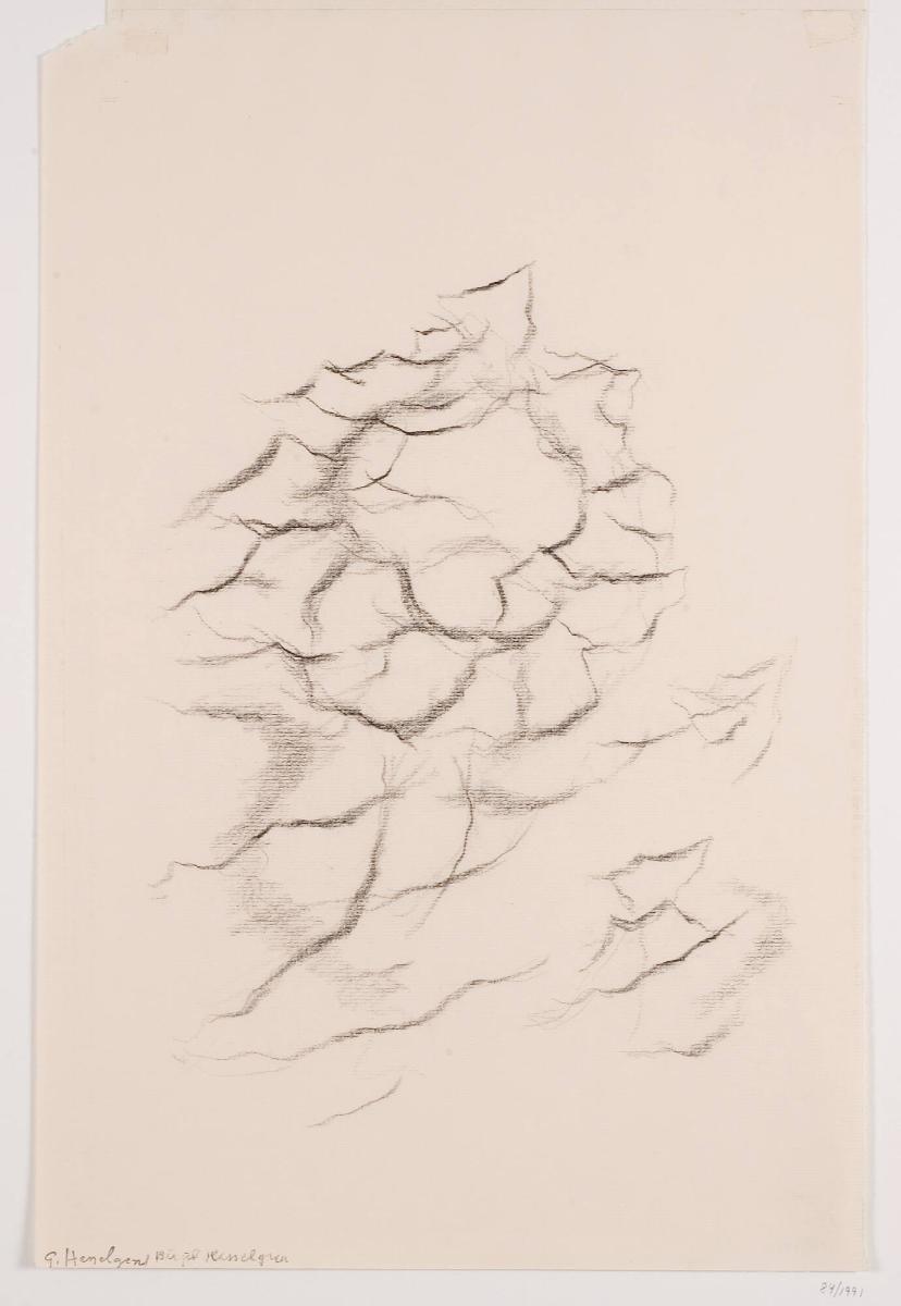 Sandrevlar, Hallands Väderö