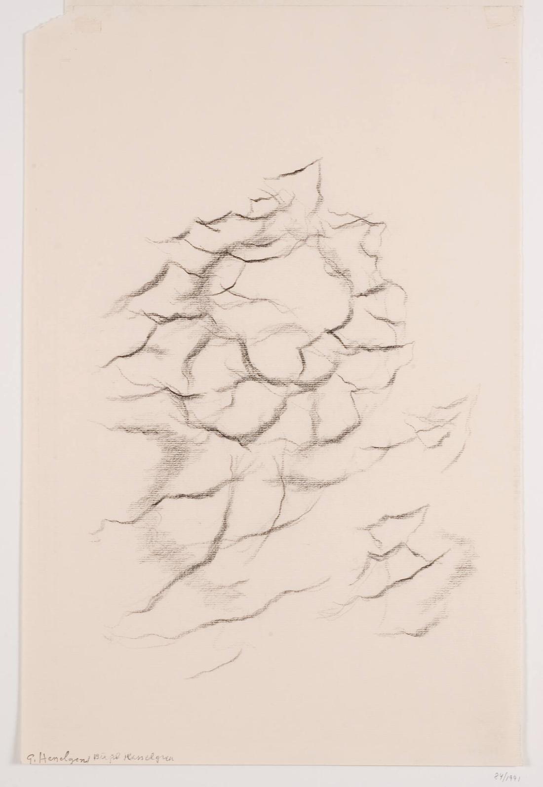 Sandrevlar, Hallands Väderö