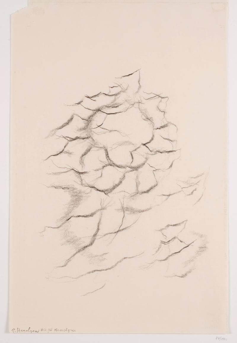 Sandrevlar, Hallands Väderö