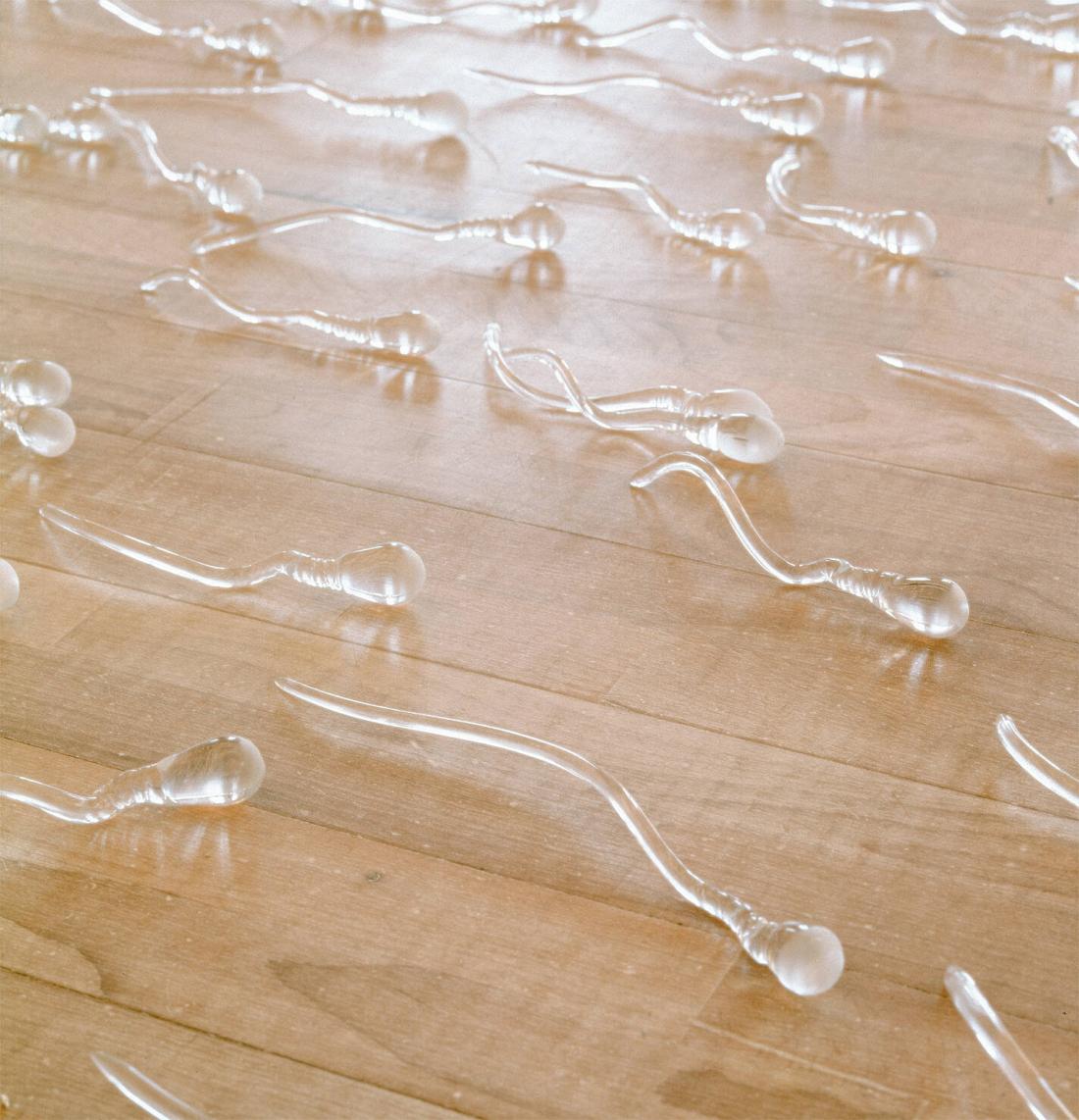 Sperm piece