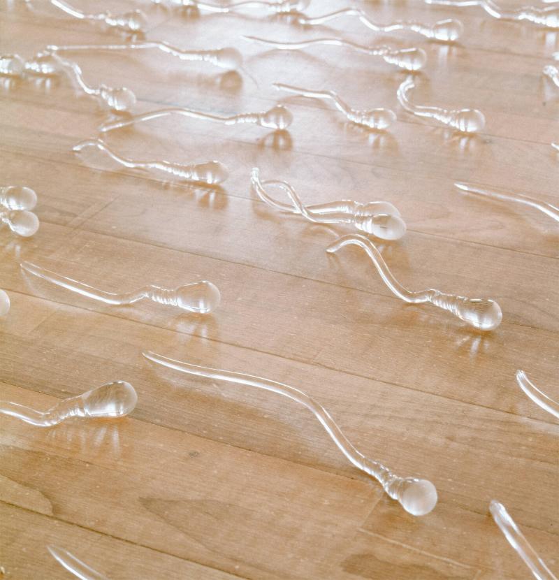 Sperm piece