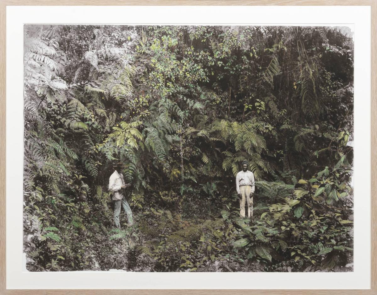 The Men in Forest - Being in Landscapes