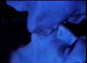 David Wojnarowicz. Marion Scemama. When I Put My Hands on Your Body. From Collaborative Film Co ...