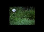 David Wojnarowicz. Marion Scemama. Inside This House. From Collaborative Film Collection. (Digi ...