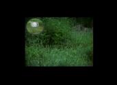 David Wojnarowicz. Marion Scemama. Inside This House. From Collaborative Film Collection. (Digi ...