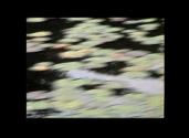 David Wojnarowicz. Marion Scemama. After Word. From Collaborative Film Collection. (Digital sti ...