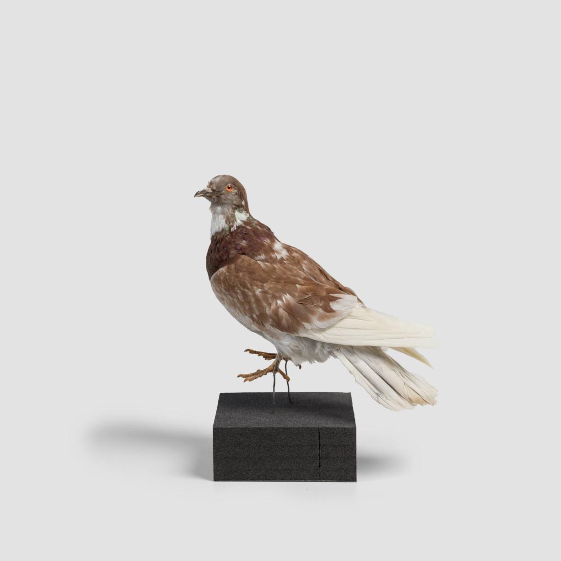 Maurizio Cattelan