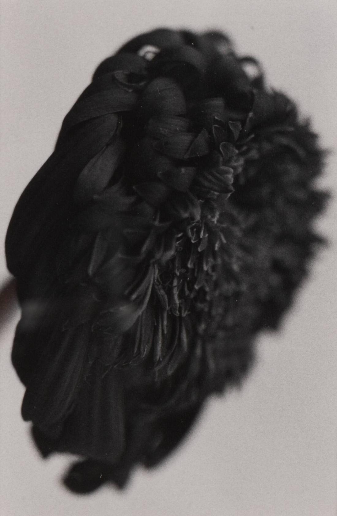 1989. Ur serien 135-36