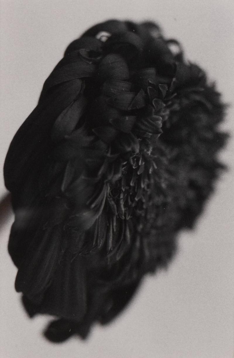 1989. Ur serien 135-36