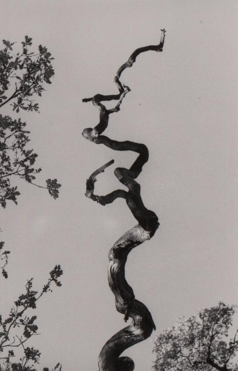 1973. Ur serien 135-36