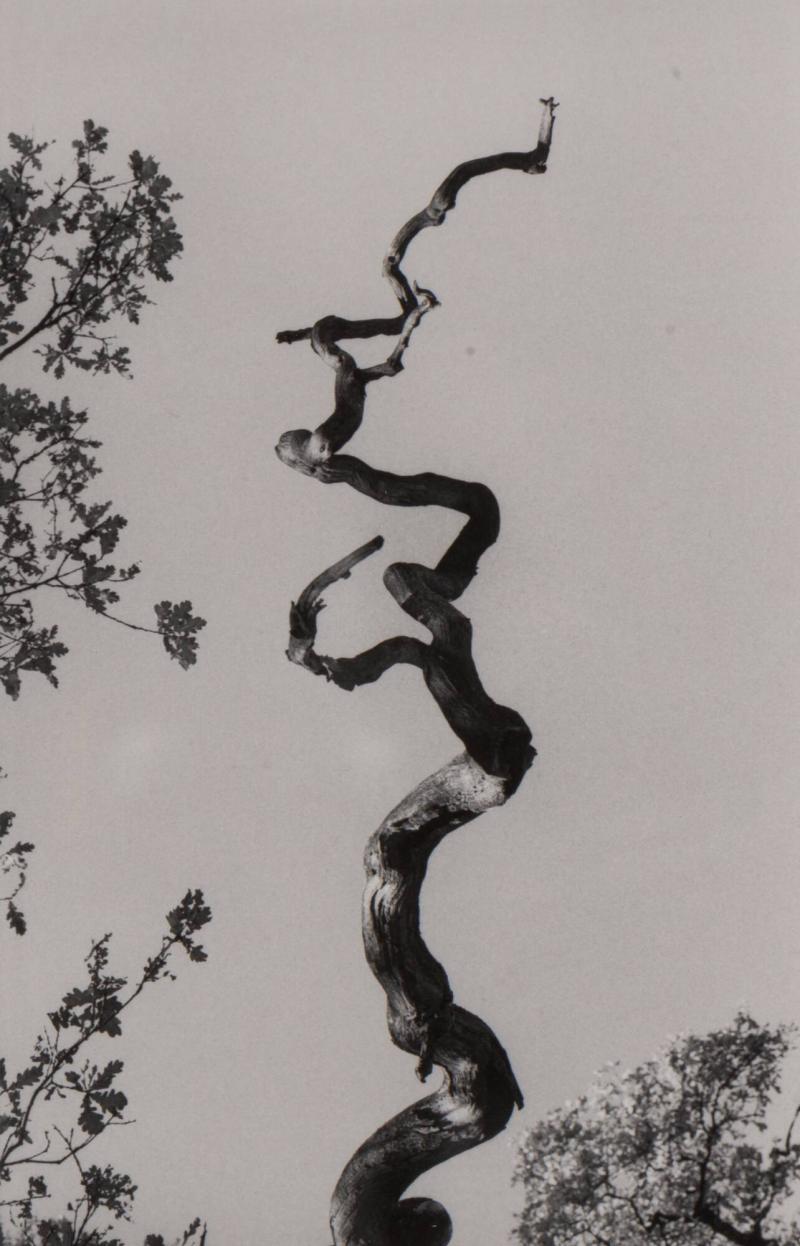 1973. Ur serien 135-36