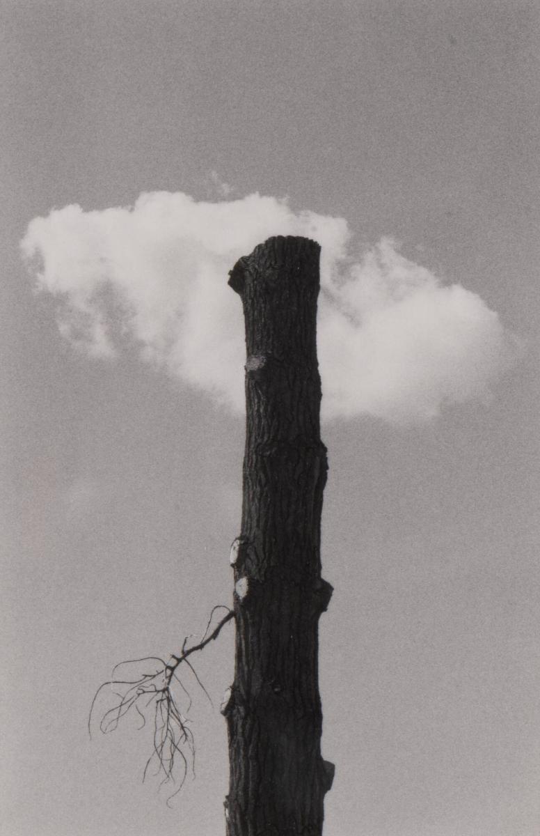 1988. Ur serien 135-36