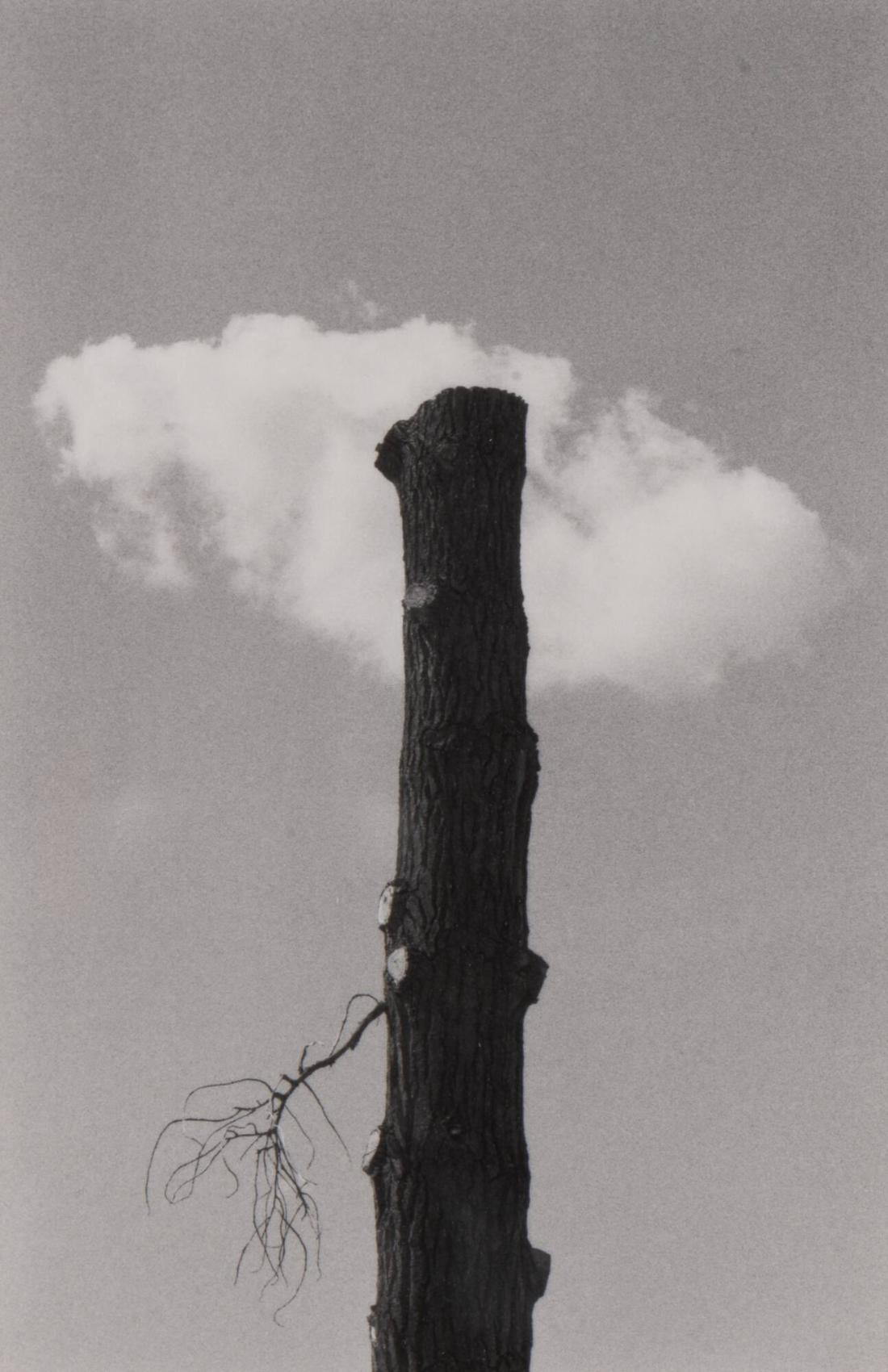 1988. Ur serien 135-36