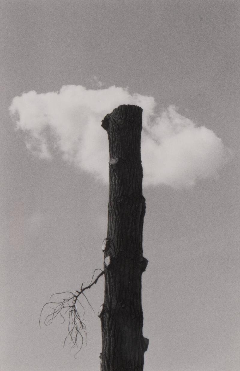 1988. Ur serien 135-36