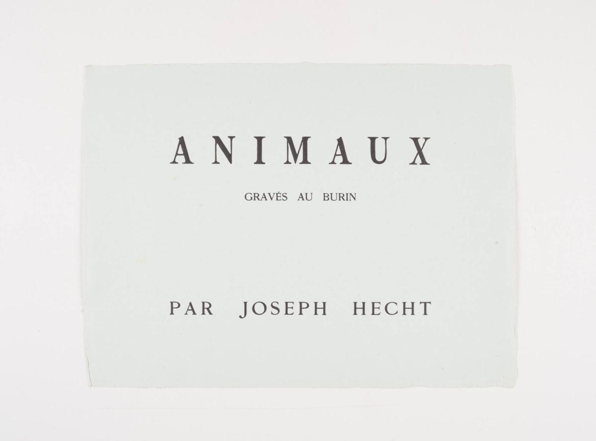 Sans titre. De la sèrie Animaux