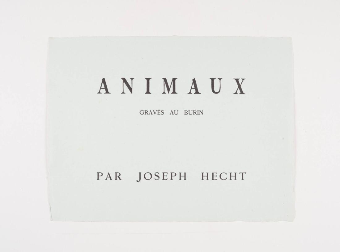 Sans titre. De la sèrie Animaux