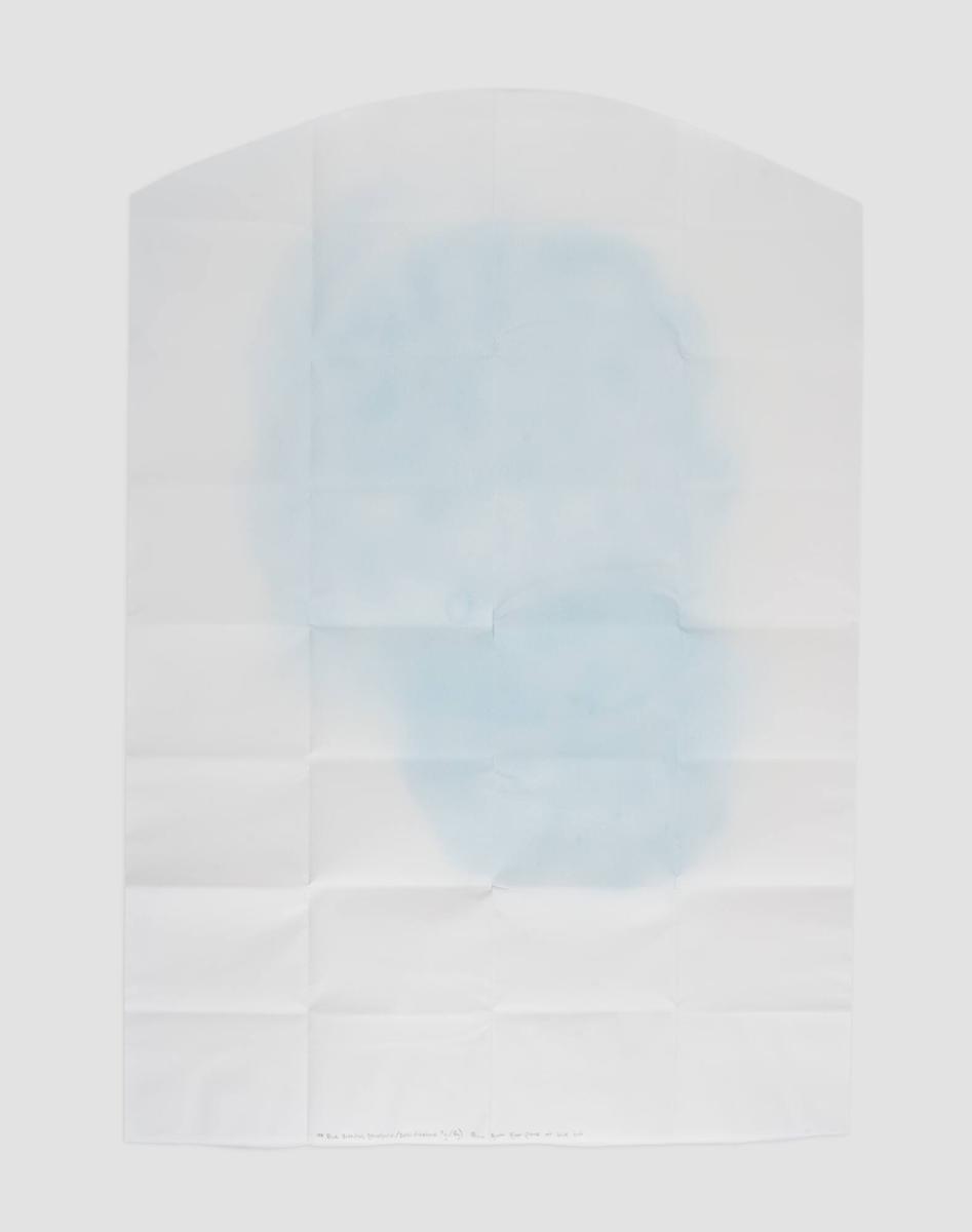 104 Blue Breaths (Tenofovir/Emtricitabine 9g/6g)