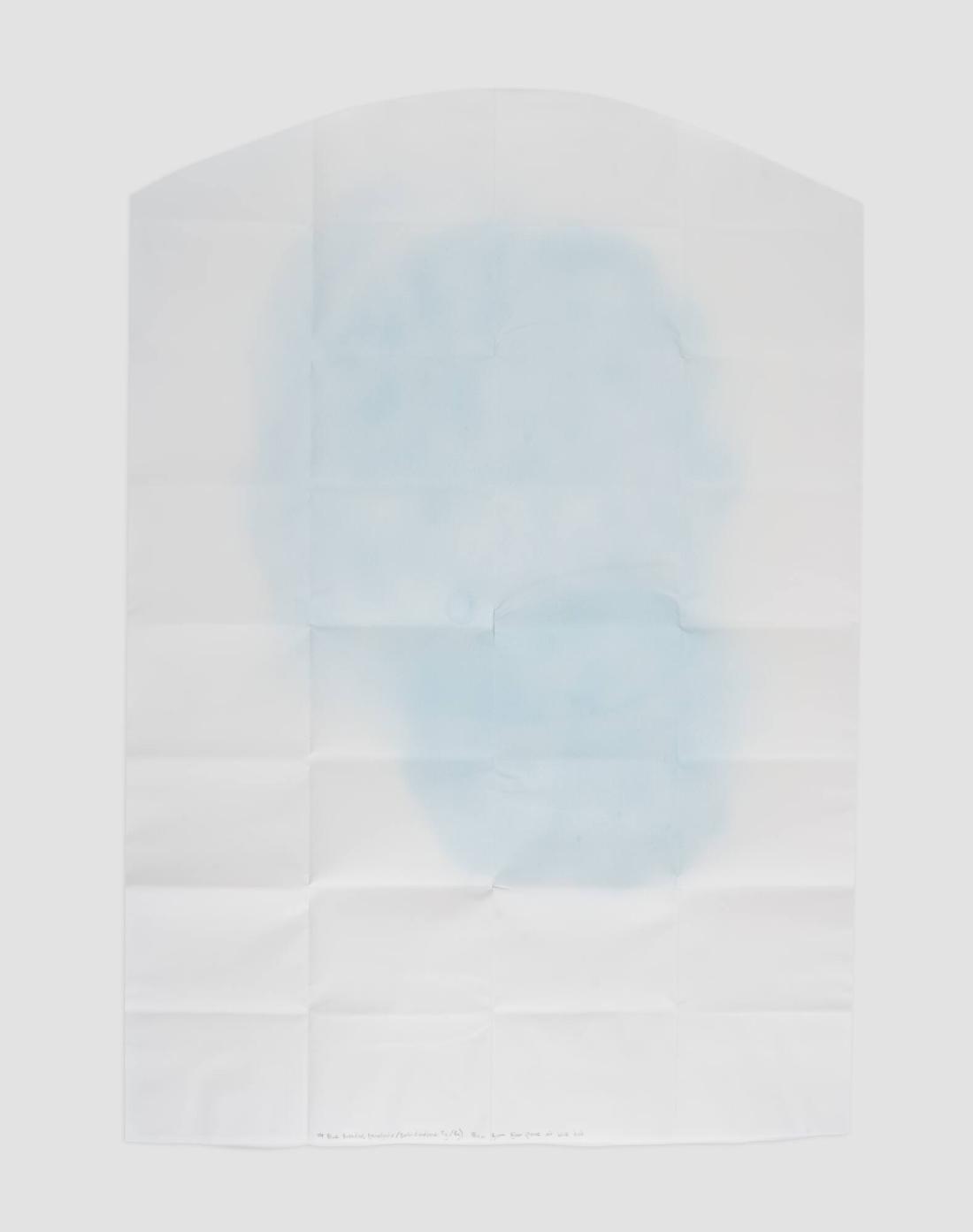 104 Blue Breaths (Tenofovir/Emtricitabine 9g/6g)