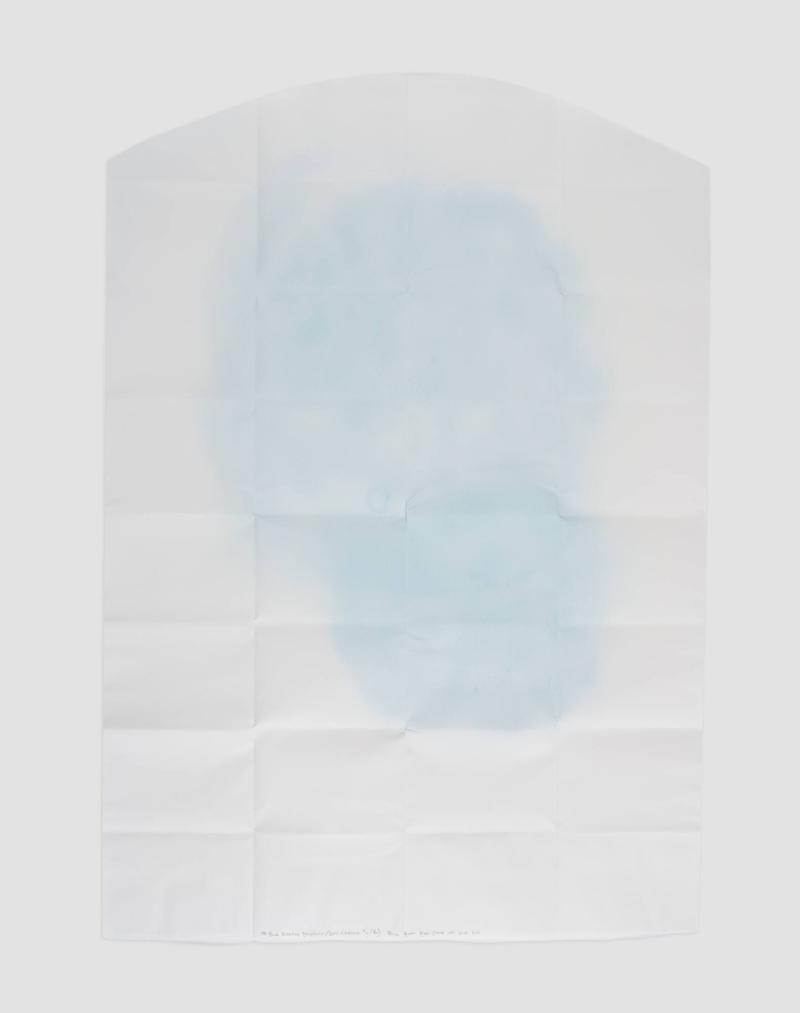 104 Blue Breaths (Tenofovir/Emtricitabine 9g/6g)