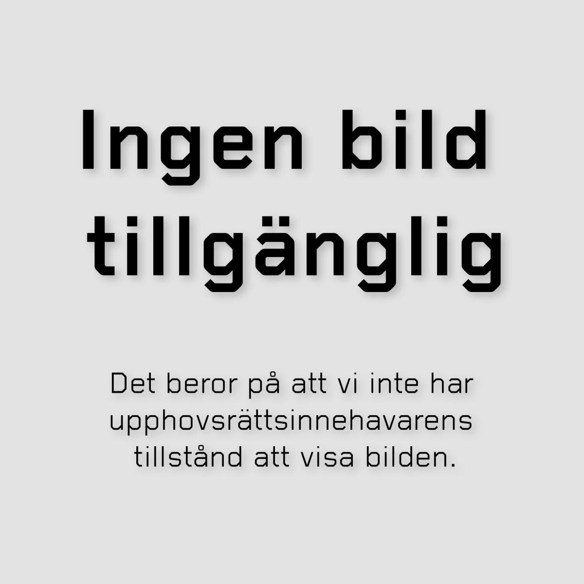 Ingen bild tillgänglig. 
Det beror på att vi inte har upphovsrättsinnehavarens tillstånd att v ...