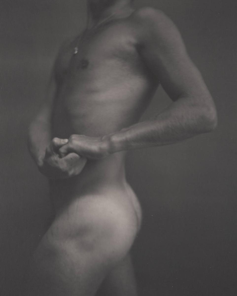 Torso