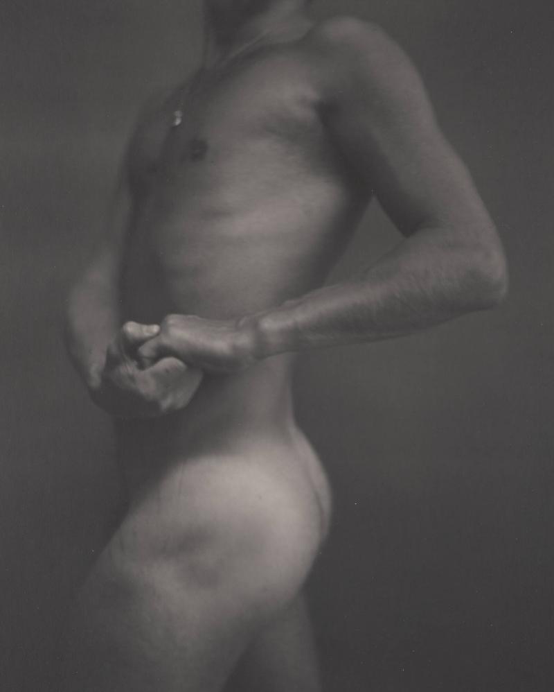 Torso