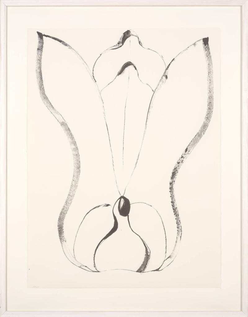Flower drawing