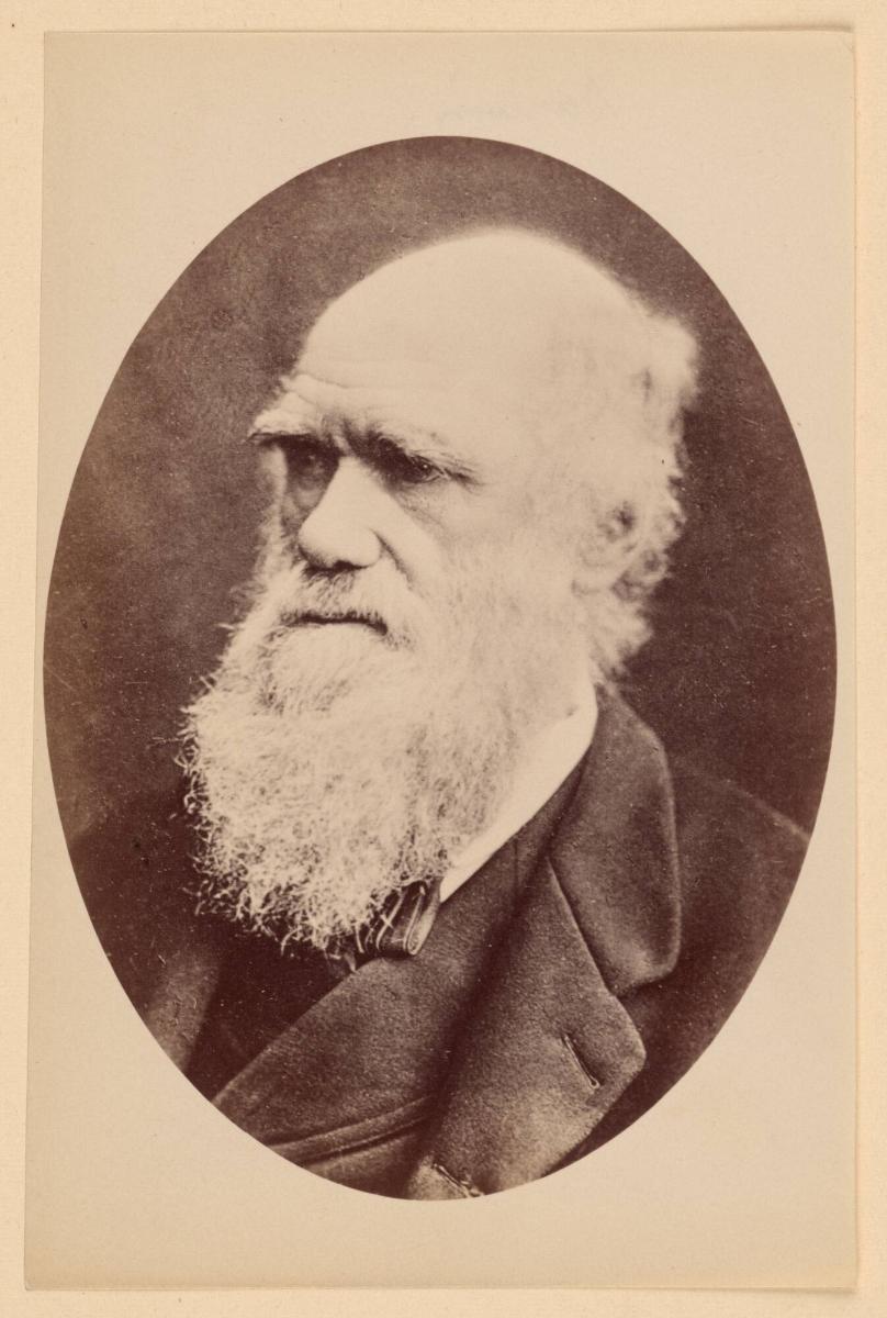 Darwin