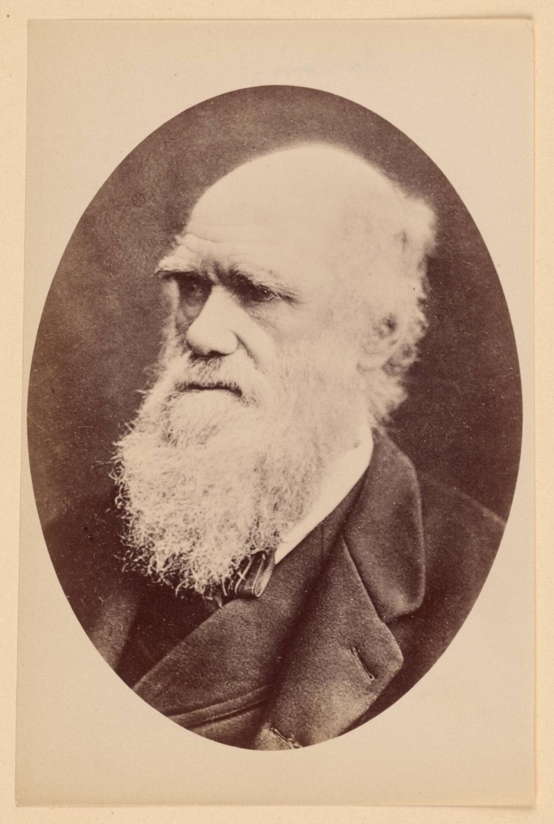 Darwin