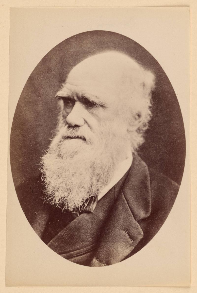 Darwin