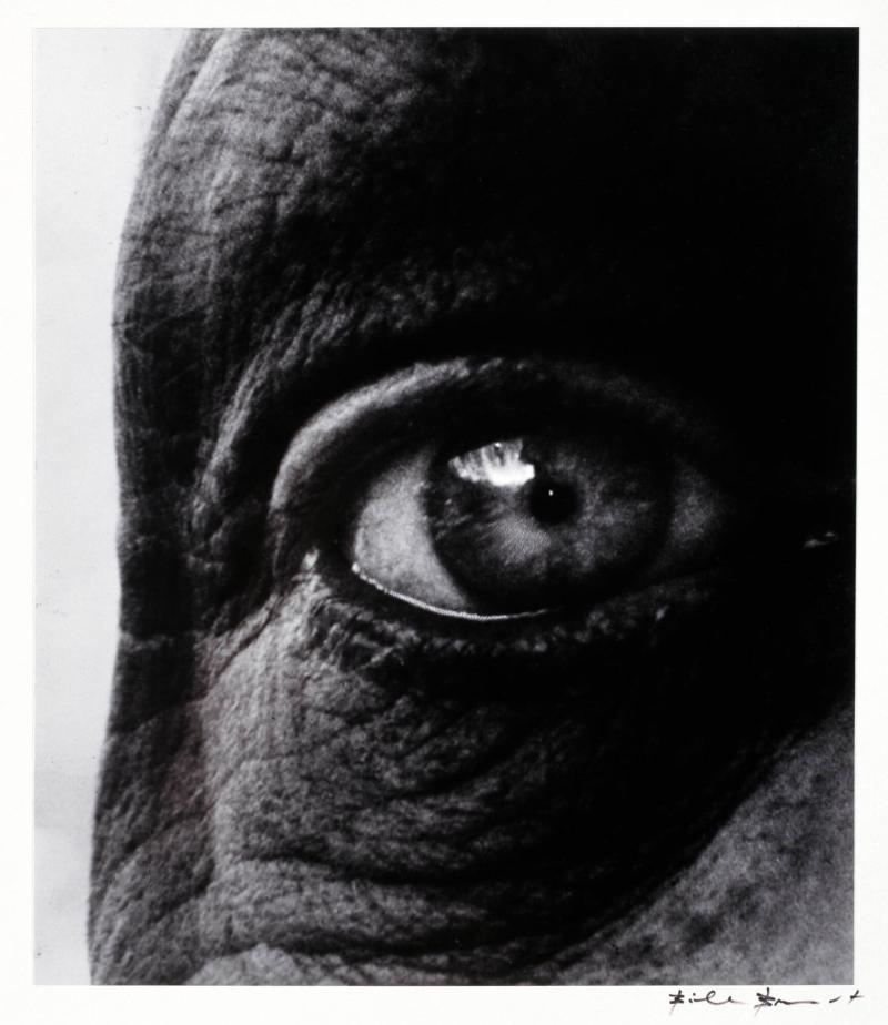 Jean Dubuffet´s right eye