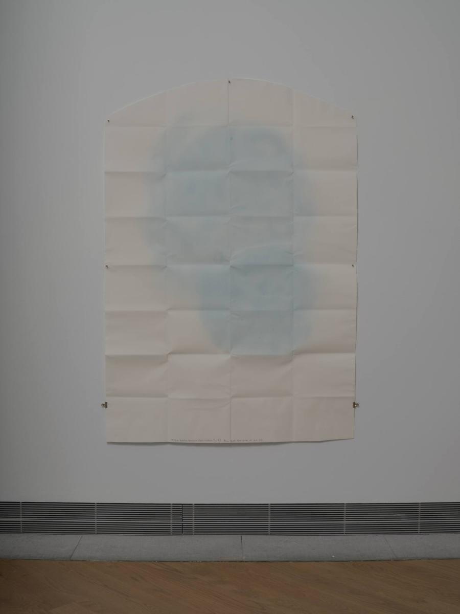 104 Blue Breaths (Tenofovir/Emtricitabine 9g/6g)