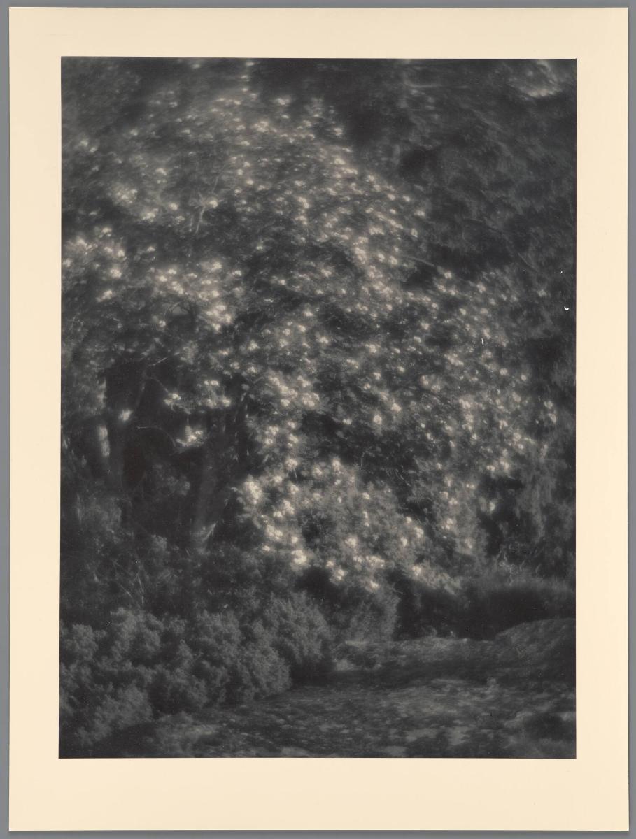 Hos Maud o Lars Hall