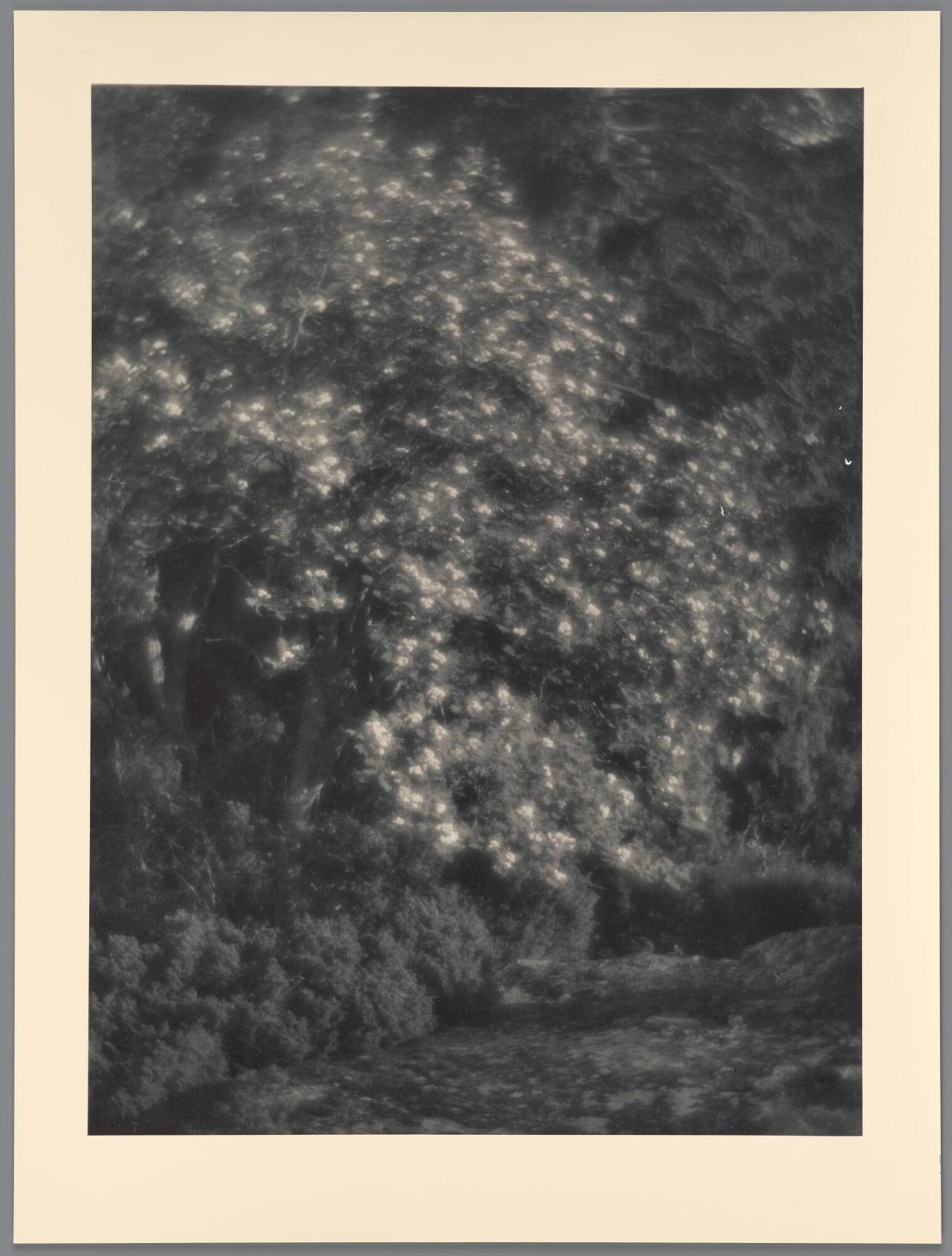 Hos Maud o Lars Hall