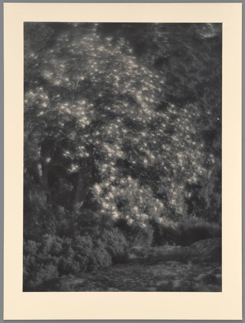 Hos Maud o Lars Hall