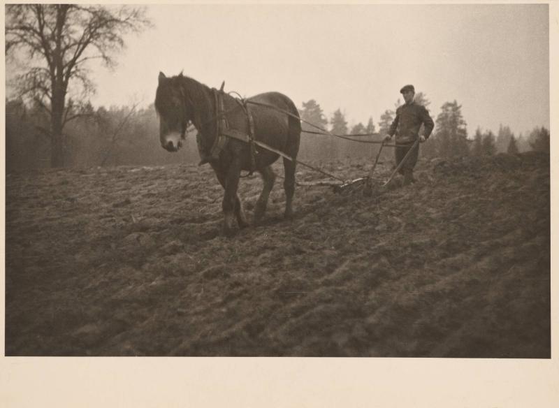 Höstplöjning. Tenntorp. Erstavik, Södertörn