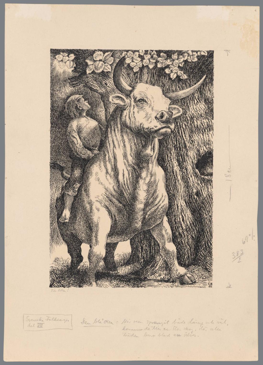 Ill. till 'Den blå oxen' (Svenska Folksagor VII)