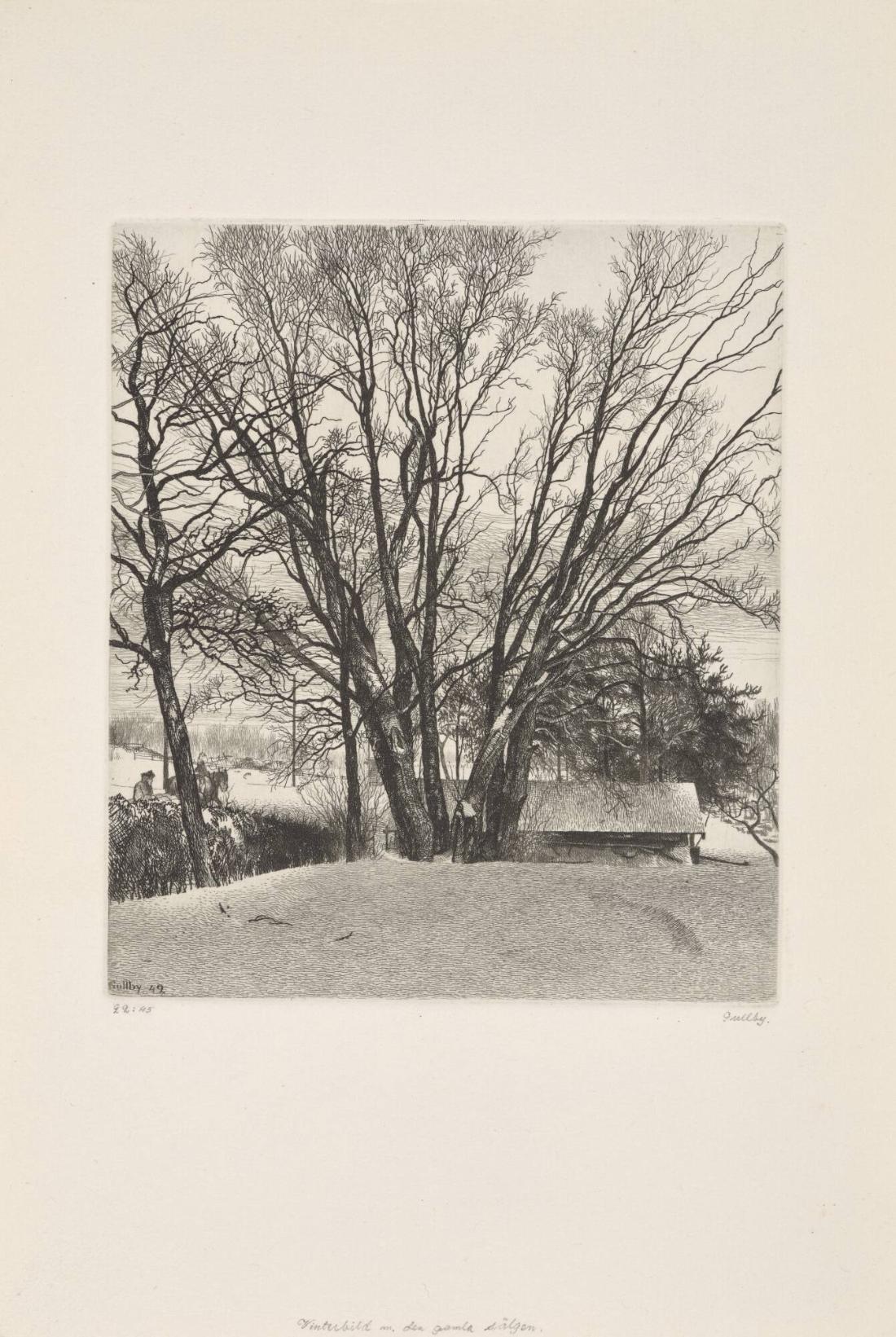 Vinterbild med den gamla sälgen