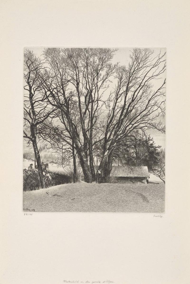 Vinterbild med den gamla sälgen