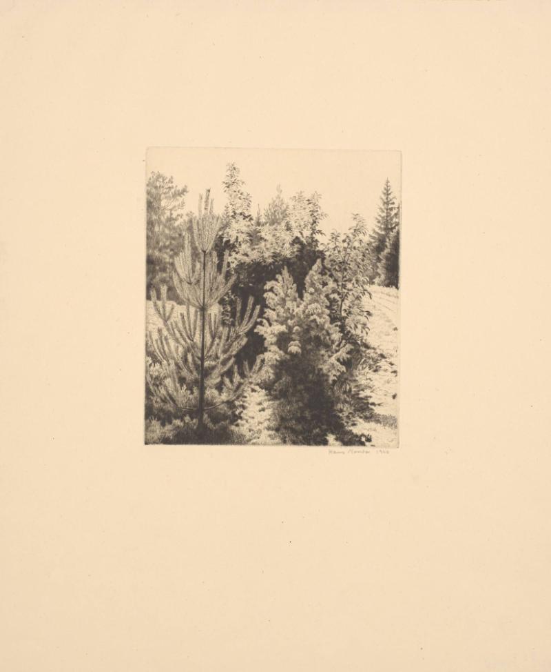 Dungen