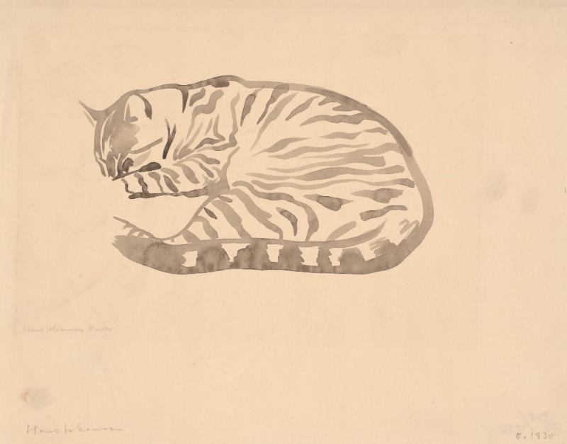 Liggande katt