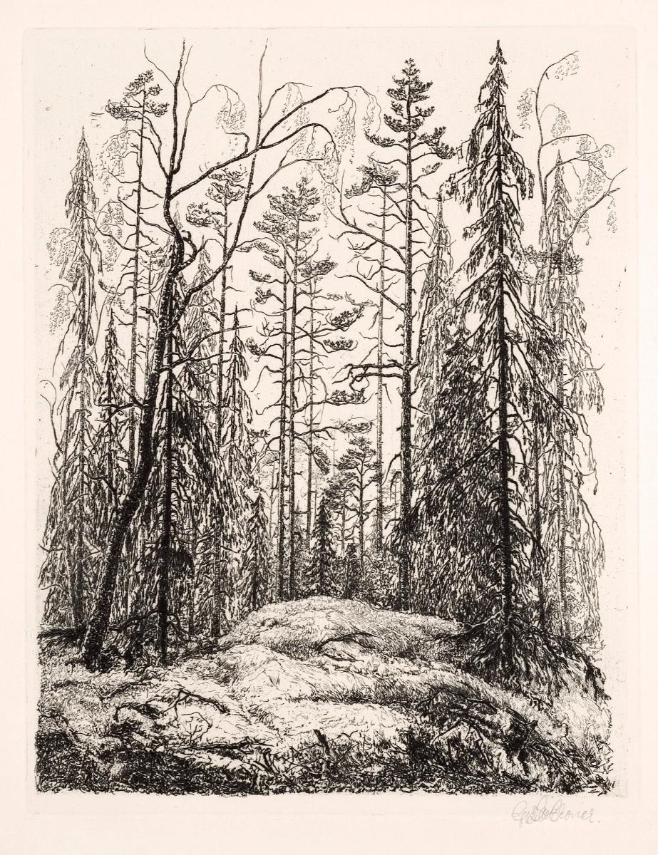 Skogsparti