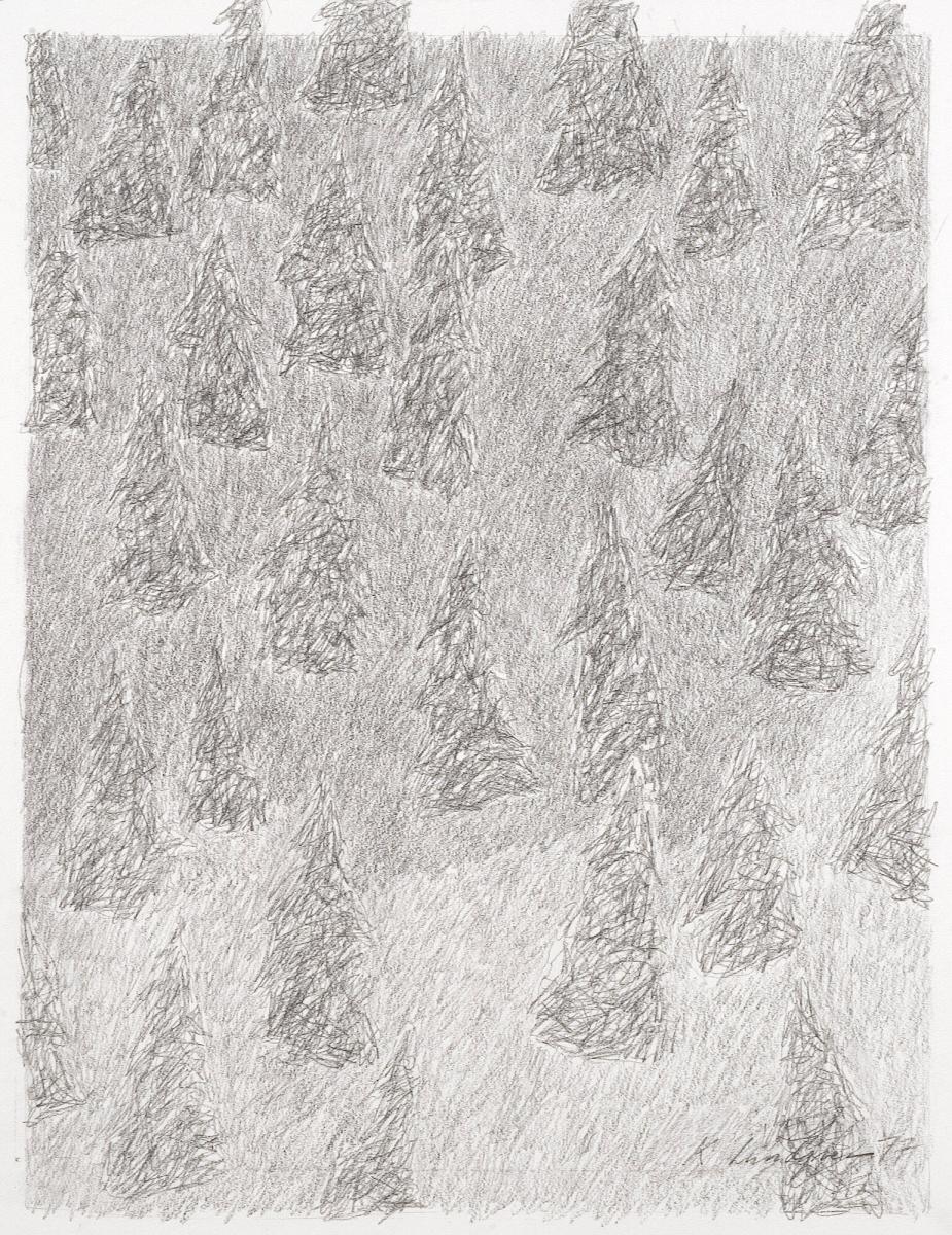 Gles skog