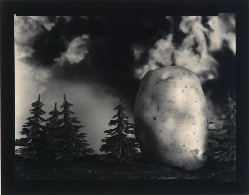 Potatis
